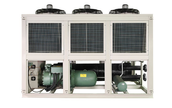 100 Tonnen Kompressor Schraubkühler Spritzgießmaschine Industriekühlschrank